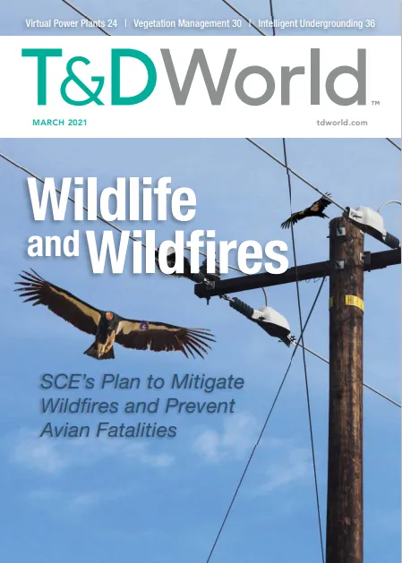 T&D World magazine cover — Municipal Utility Streamlines Substation Inspections